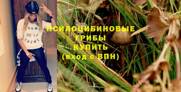 прущий лед Верея