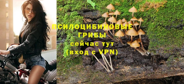 прущий лед Верея